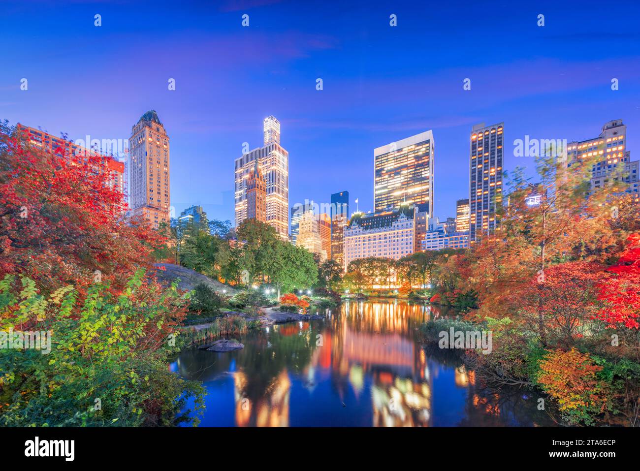 Central Park during autumn in New york City at twilight Stock Photo - Alamy