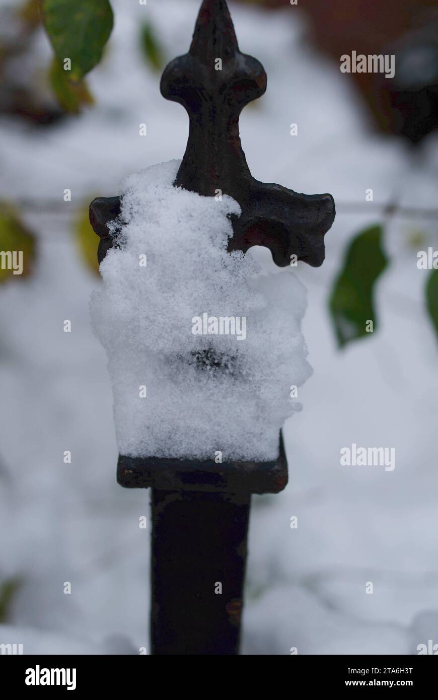Schneeherbst hires stock photography and images Alamy