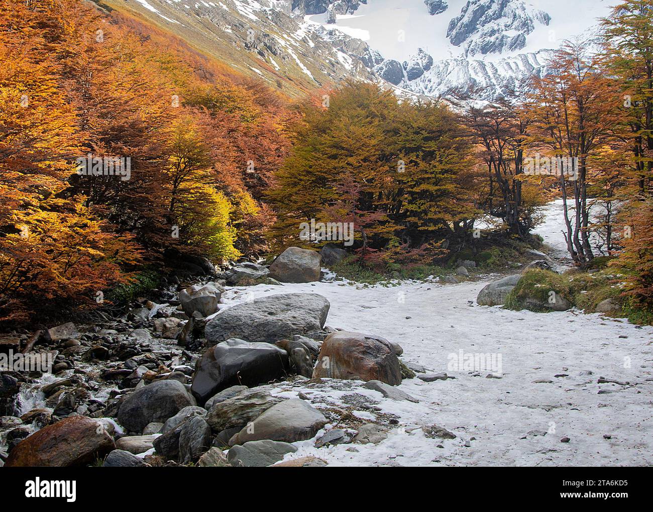 Martial glacier landscape scene, ushuaia, tierra del fuego province ...