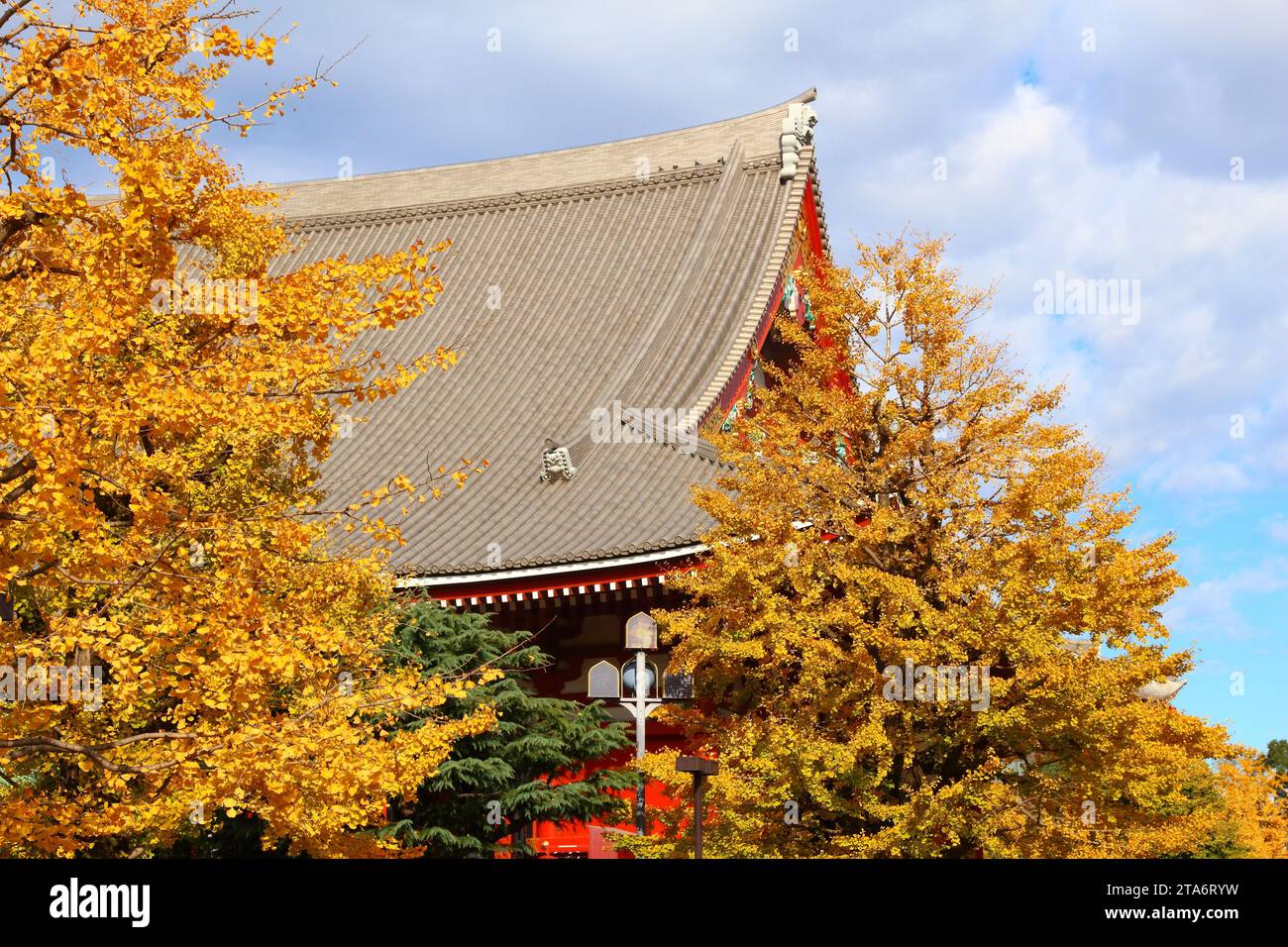 Asakusa autumn view, Tokyo - Sensoji temple. Japanese landmark Buddhist ...