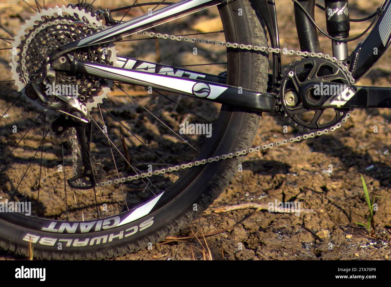 Mountain bike chain and wheel on blur background Stock Photo