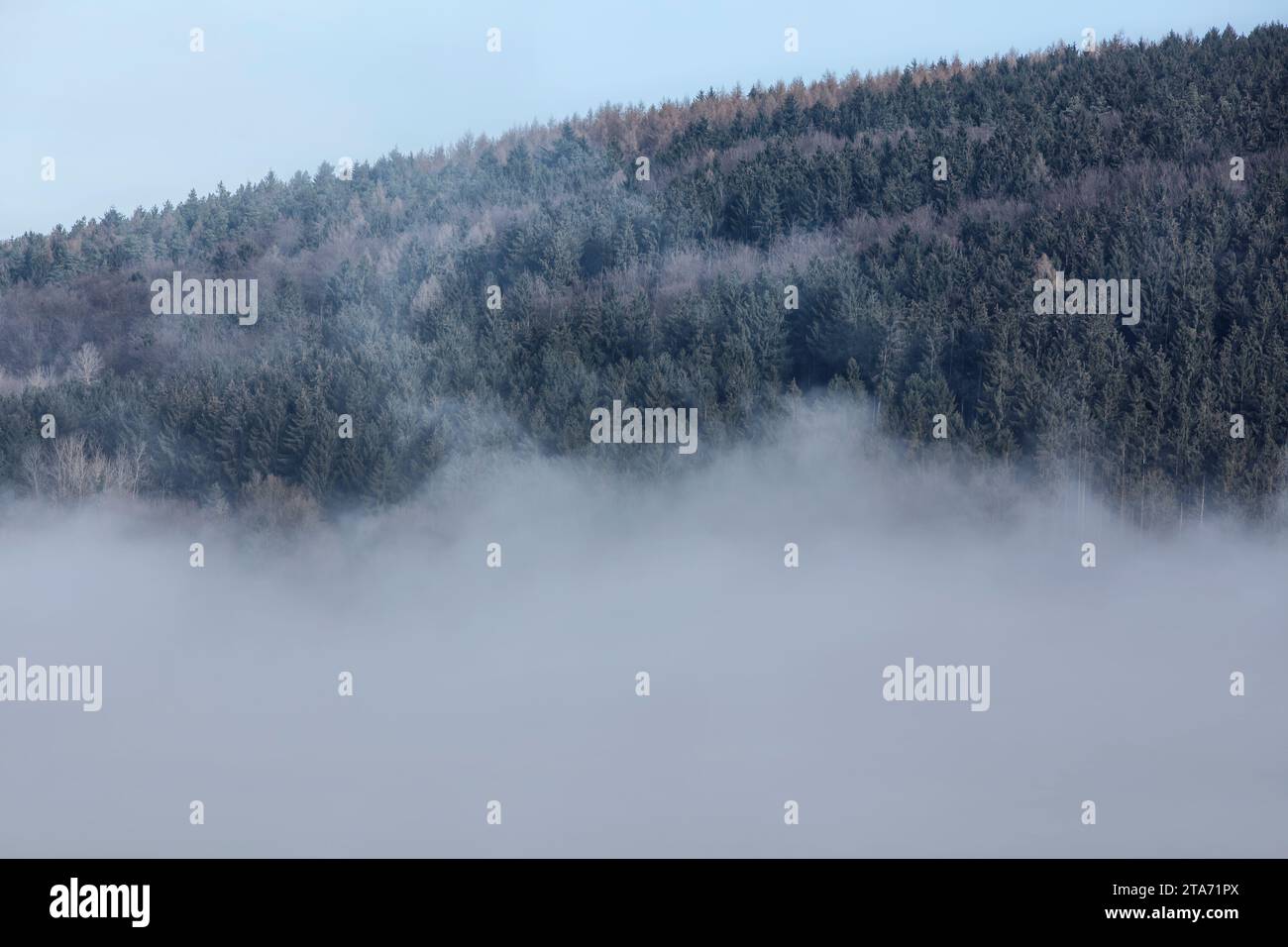 Foggy landscape, near Wesertal, Weser Uplands, Weserbergland, Hesse, Germany Stock Photo