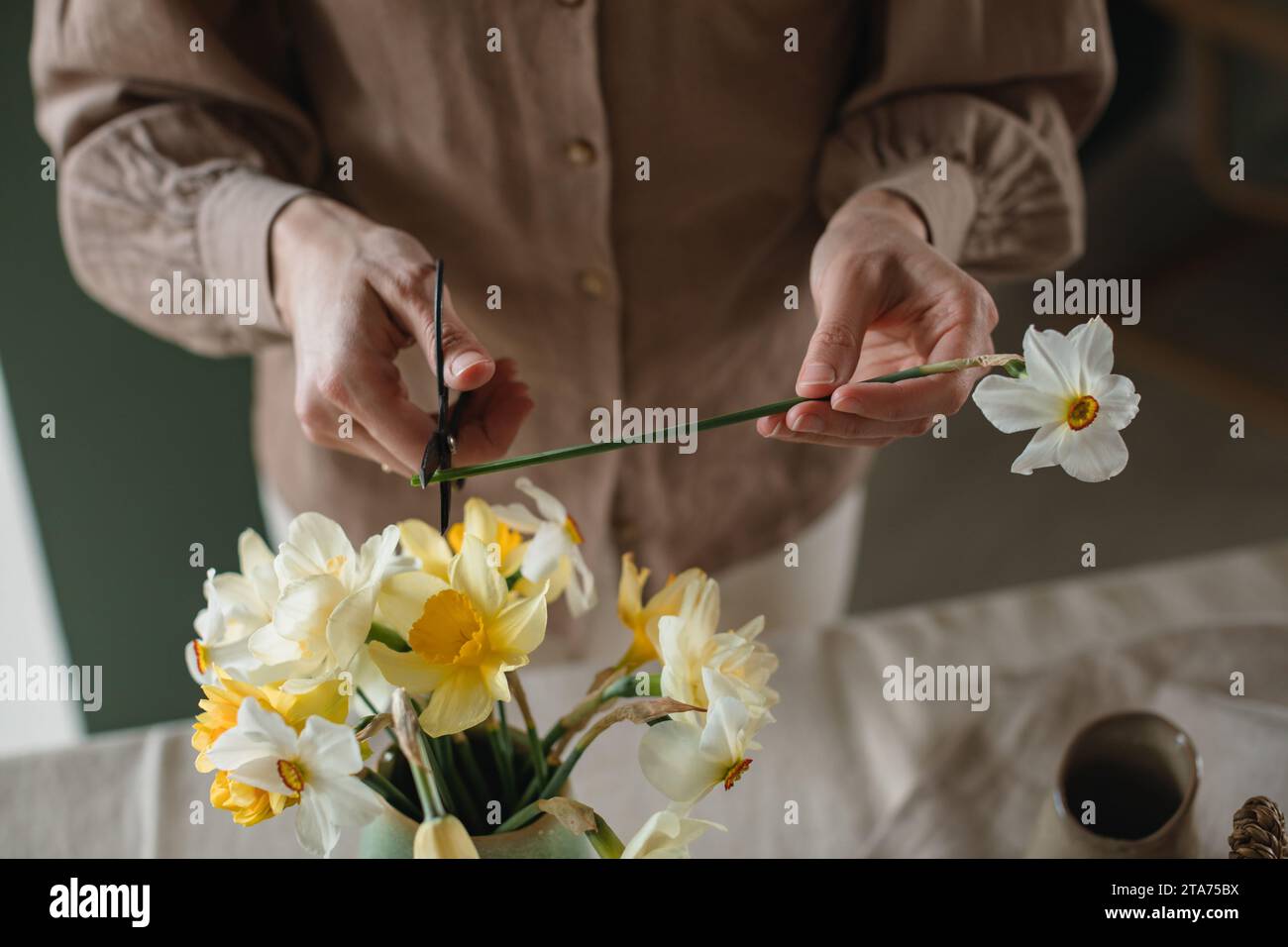 Closeup of a woman arranging a bunch of daffodils in a vase Stock
