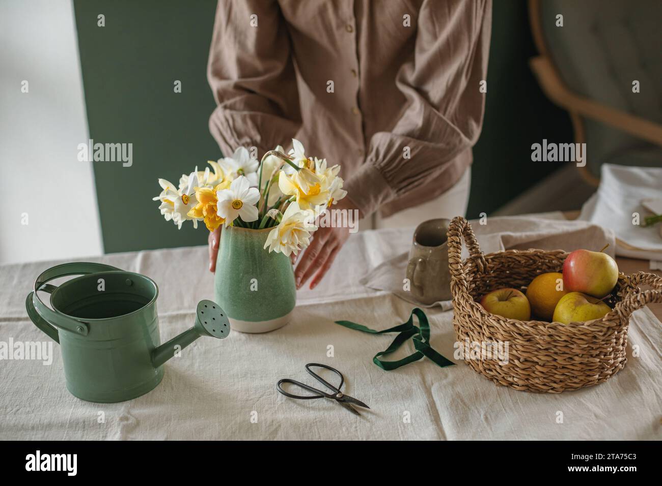 Closeup of a woman arranging a bunch of daffodils in a vase Stock
