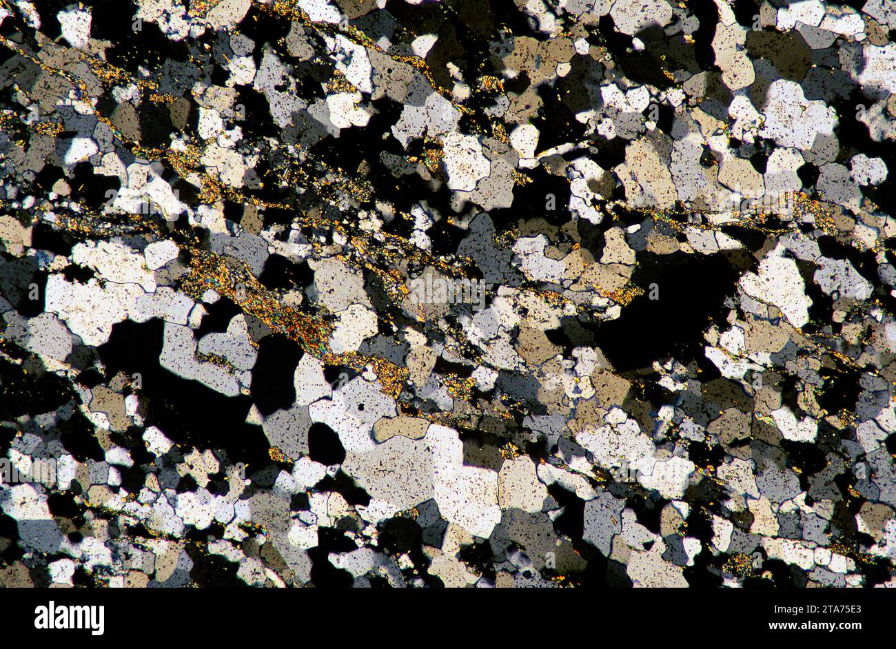 Quartzite, thin section. Polarised light, optical microscope. Magnification X20 Stock Photo