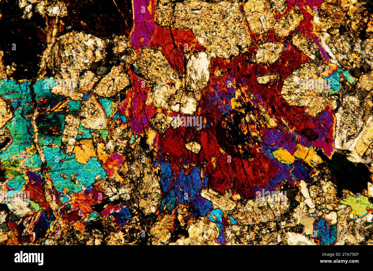 Diorite is an igneous intrusive rock. Polarised light, optical microscope. Magnification X20. Stock Photo