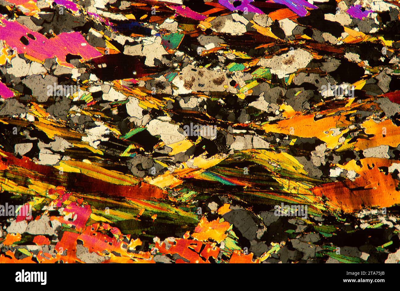 Schist, thin section showing foliation. Schist is a metamorphic rock. Optical microscope, polarised light. Magnification X20. Stock Photo