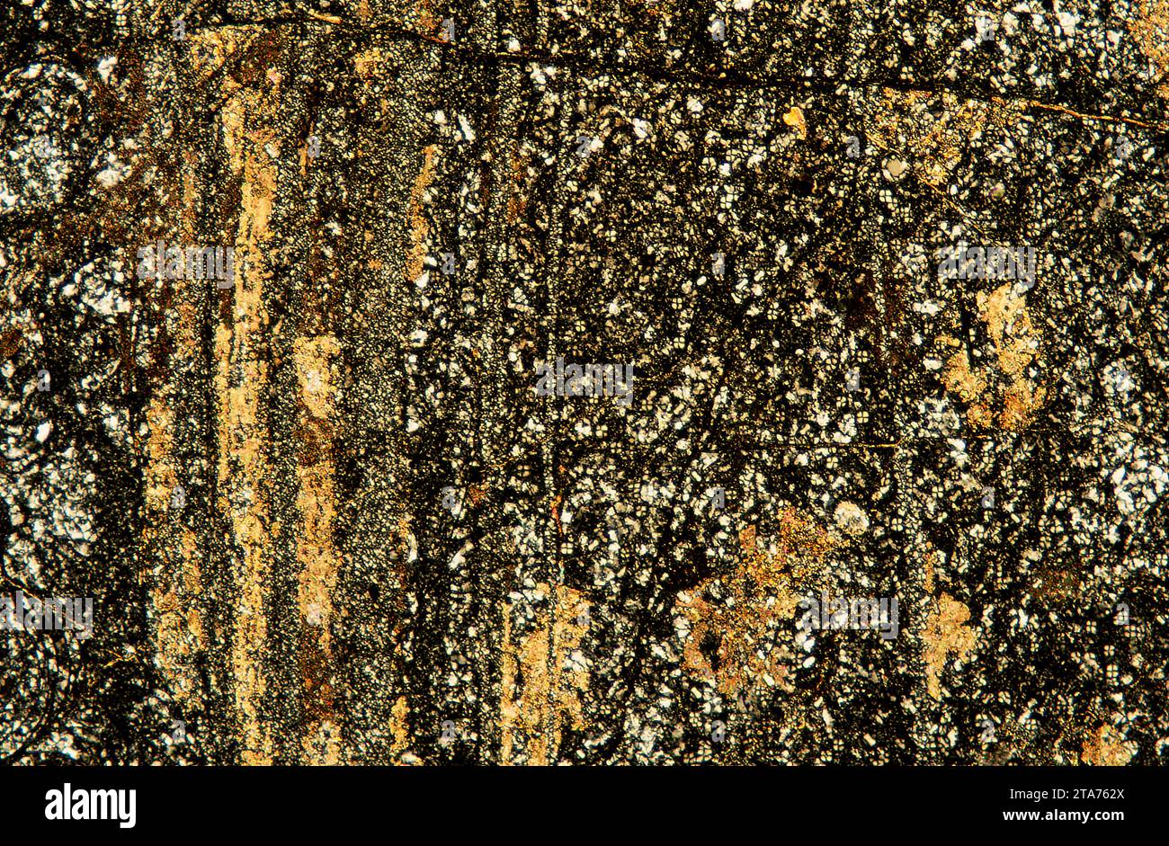 Diabase, dolerite, microgabbro or ofite is a subvolcanic rock equivalent to gabbro (intrusive) and basalt (extrusive). Phomicrograph, thin section, po Stock Photo