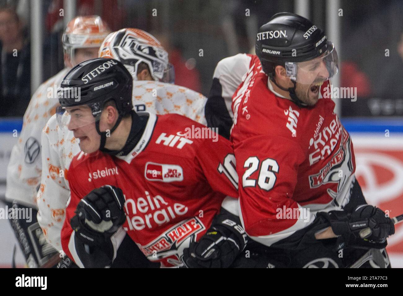 28.11.2023, Lanxess-Arena, Koeln, GER, DEL, Koelner Haie vs Grizzlys Wolfsburg, 22.Spieltag, Saison 2023/24, Im Bild: David McIntyre (Kölner Haie, #26) wird von Justin Feser (Grizzlys Wolfsburg, #71) hart attackiert im Zweikampf, Duell, Dynamik, Aktion, Action, Spielszene; Gestik, Mimik, Emotionen; Schmerz Justin Schuetz (Kölner Haie, #10) versucht zu klären Foto © nordphoto GmbH/Denkinger Stock Photo