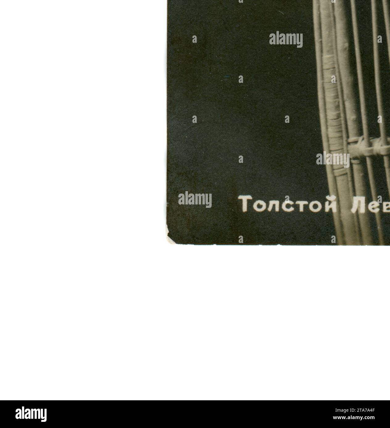 Photo of Lev Nikolayevich Tolstoy (Russian: Лев Николаевич Толстой; 9 ...