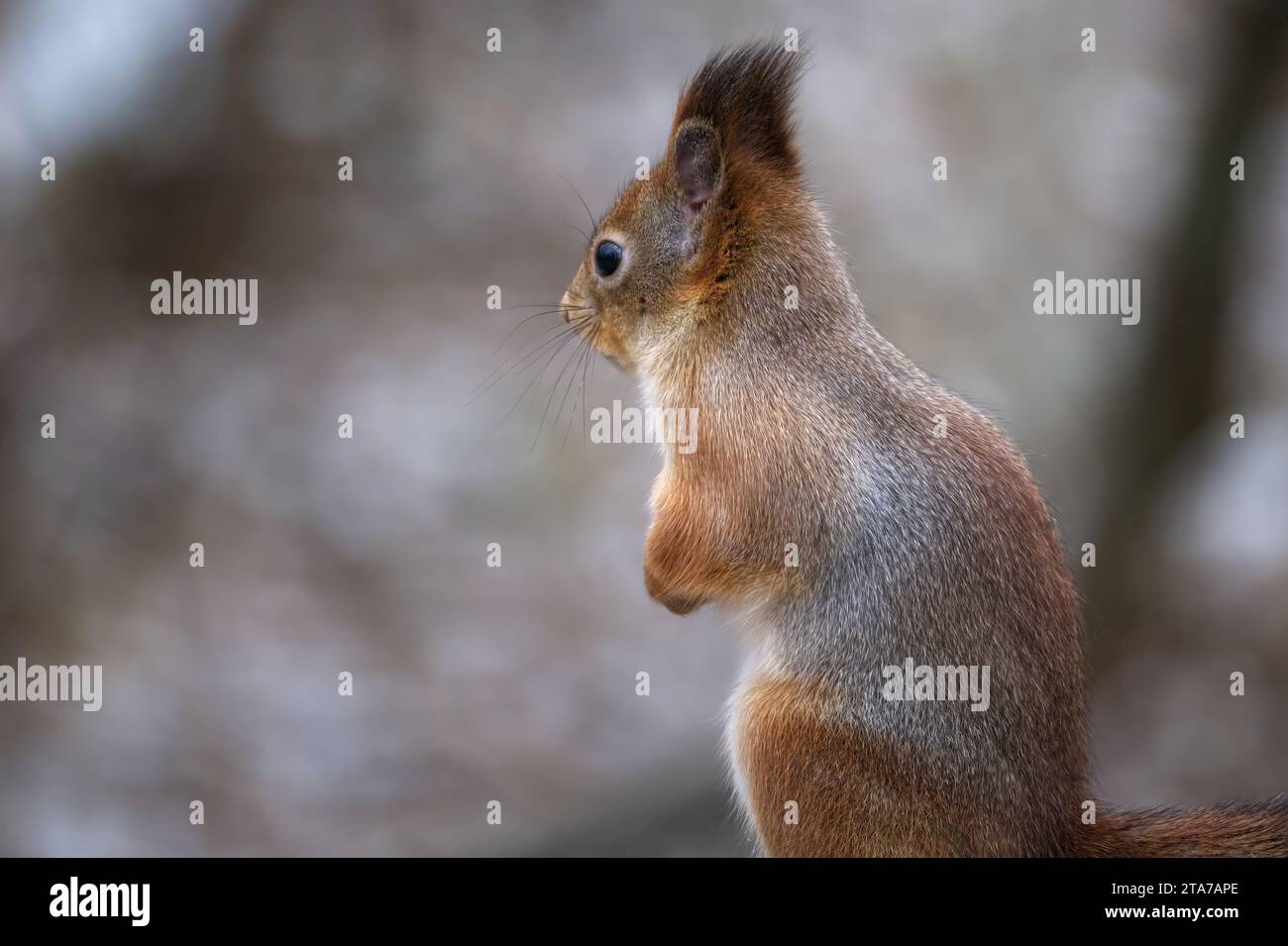 White harmony hi-res stock photography and images - Alamy