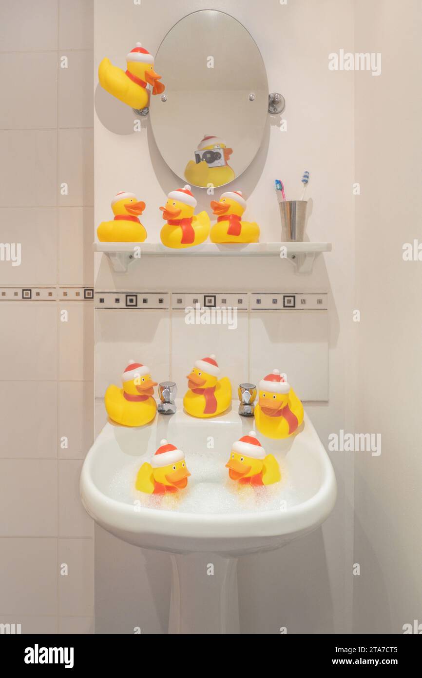 Bath toy bathroom bathtime bathing hi-res stock photography and images ...