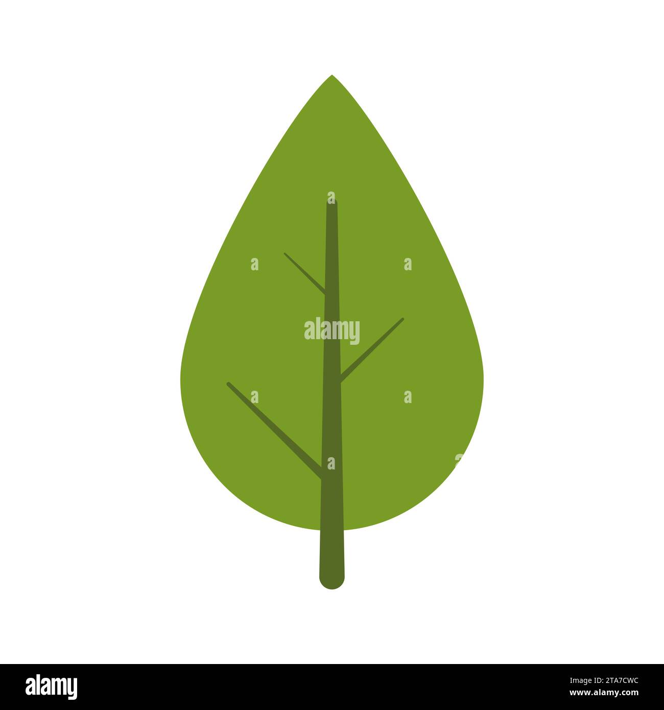 Green Leaf icon isolated on white background. Vector illustration Stock ...