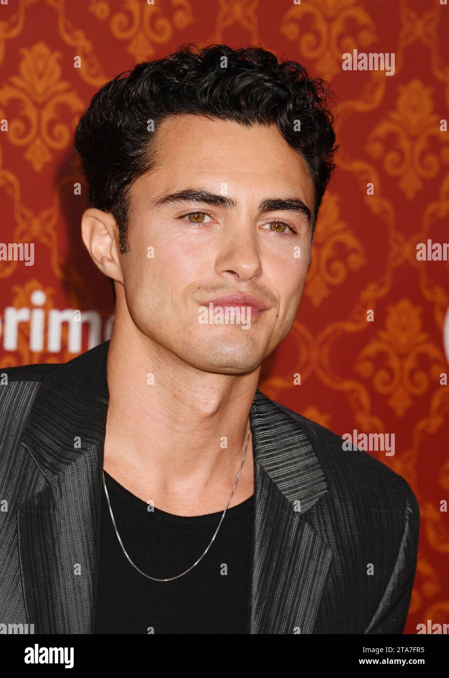 LOS ANGELES, CALIFORNIA NOVEMBER 28 Darren attends the world