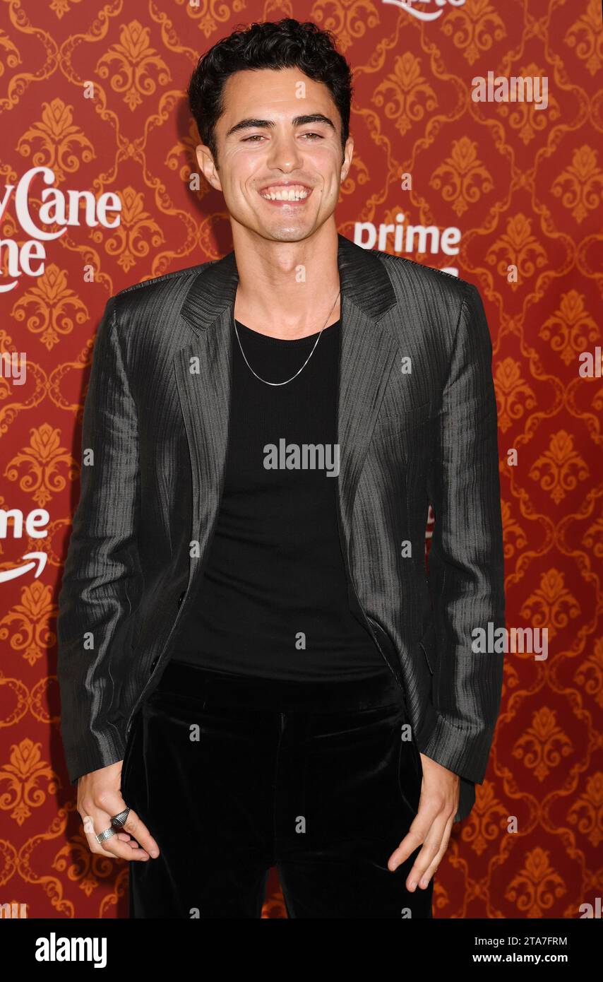 LOS ANGELES, CALIFORNIA NOVEMBER 28 Darren attends the world