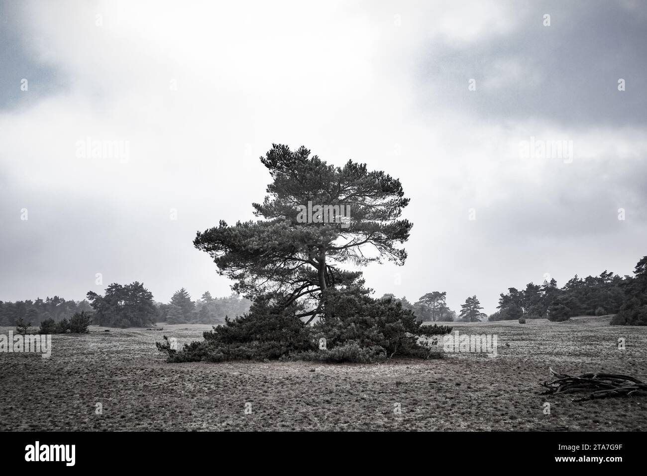 Black and white curved road hi-res stock photography and images - Alamy