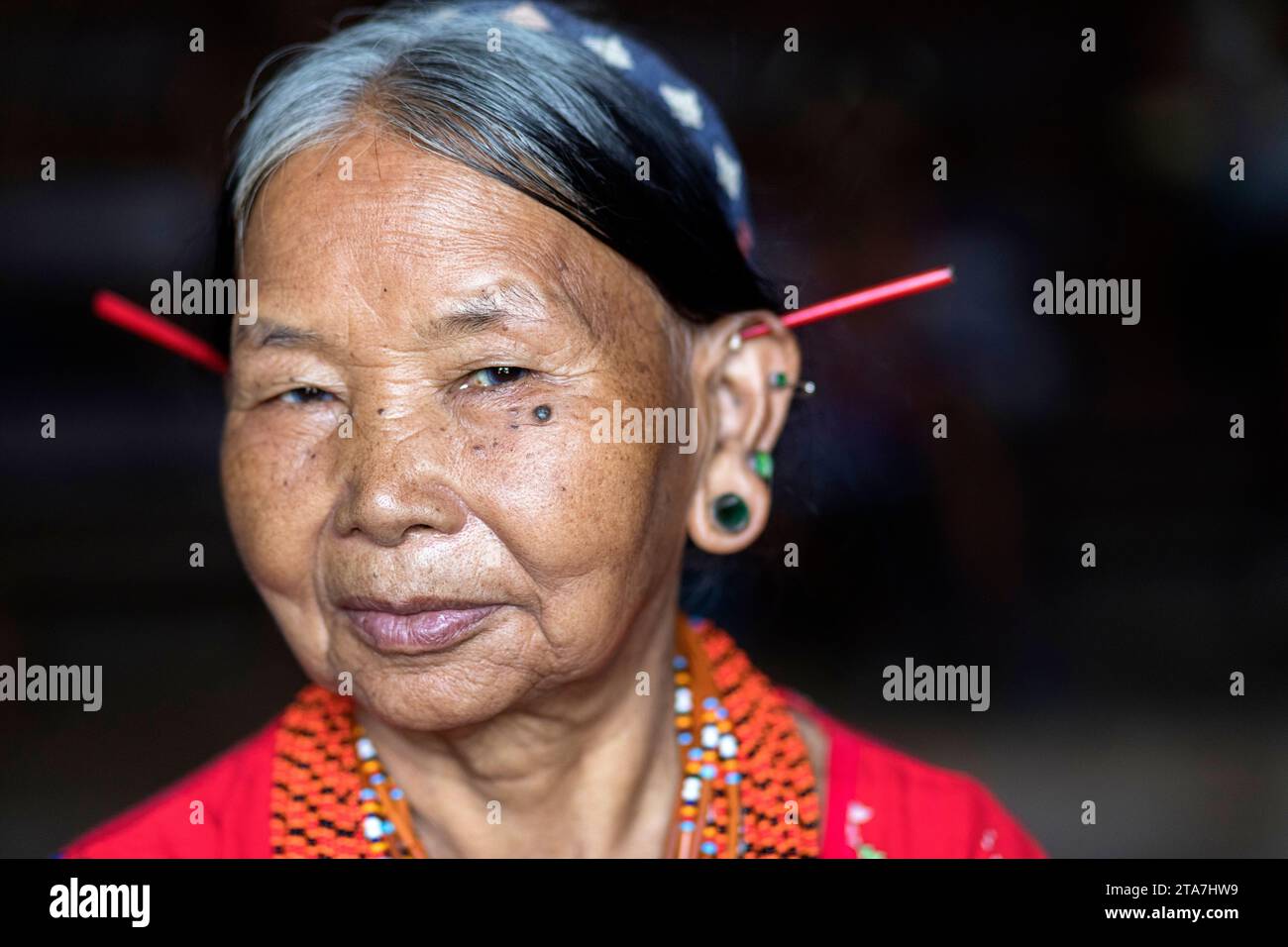 Local woman, a queen, kings wife from Konyak tribe from a remote village in the mountains in Nagaland, northeastern part of India, smilling, posing Stock Photo