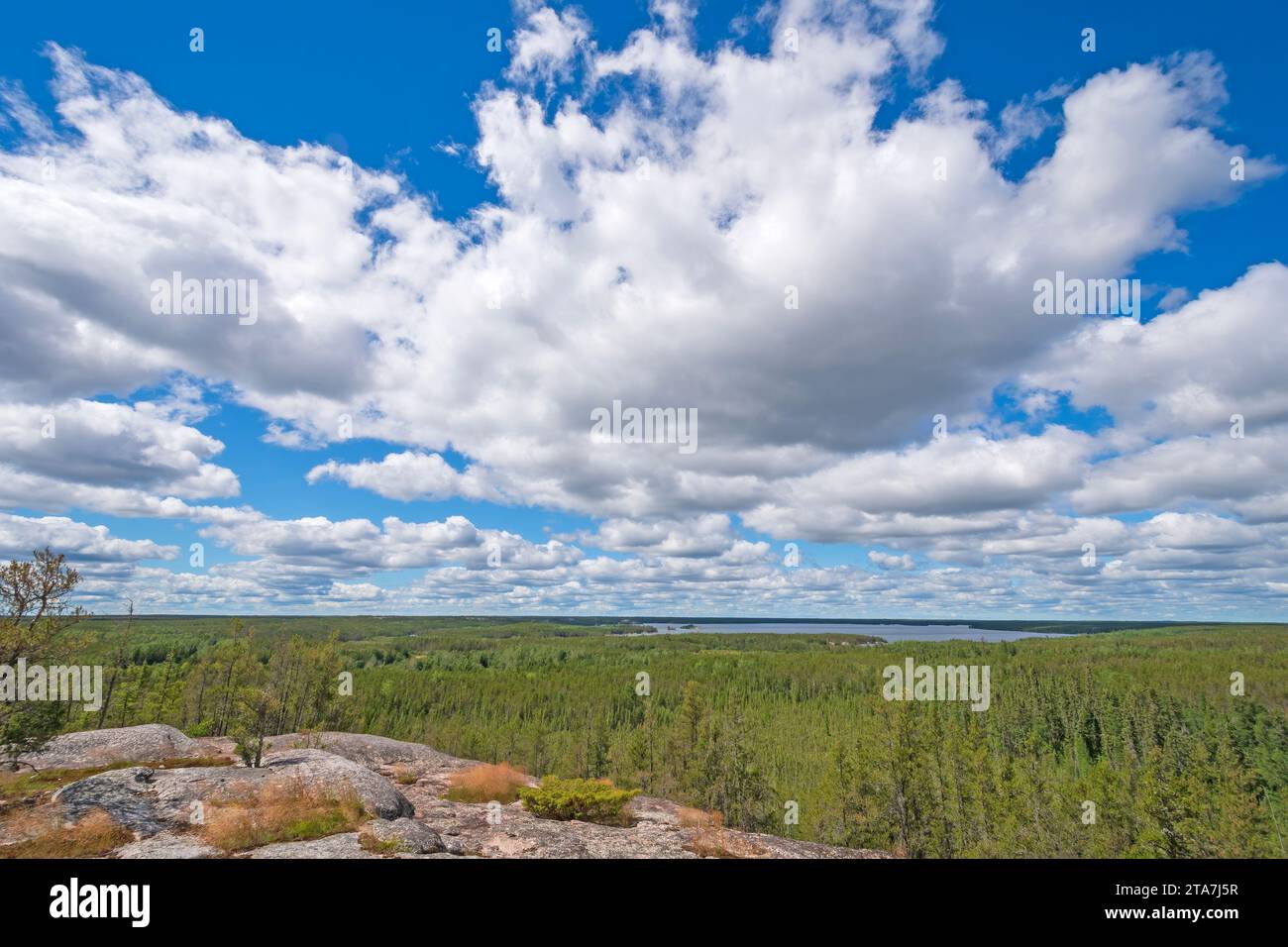 Looming Summer Clouds Over A Hilltop Perch in Nopiming Provincial Park in Mantoba Stock Photo