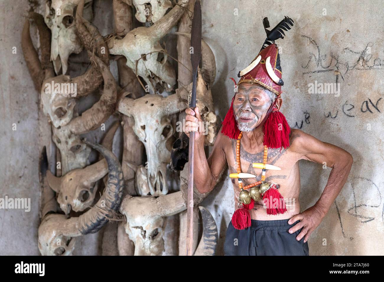 Konyak elder, warrior dressed in spectacular traditional costume standing in front of bull skuls in a small villlage near Mon in Nagaland, India Stock Photo