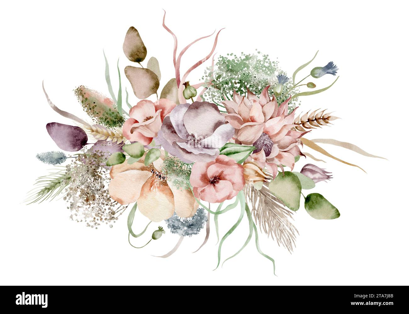 Wildflowers watercolor lush bouquet. Hand-drawn floral illustration of dried plants and herbs on an isolated background. Stock Photo