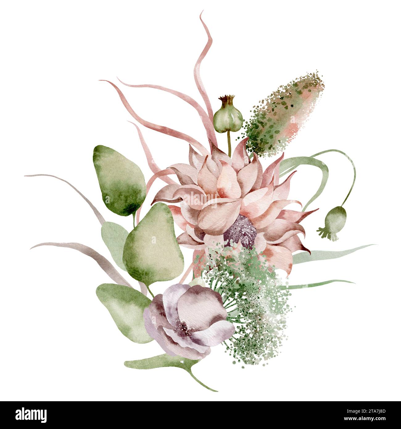 Wildflowers watercolor bouquet. Hand-drawn floral illustration of dried plants and herbs on an isolated background. Stock Photo