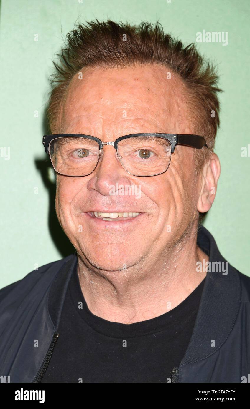 LOS ANGELES, CALIFORNIA NOVEMBER 28 Tom Arnold attends the world