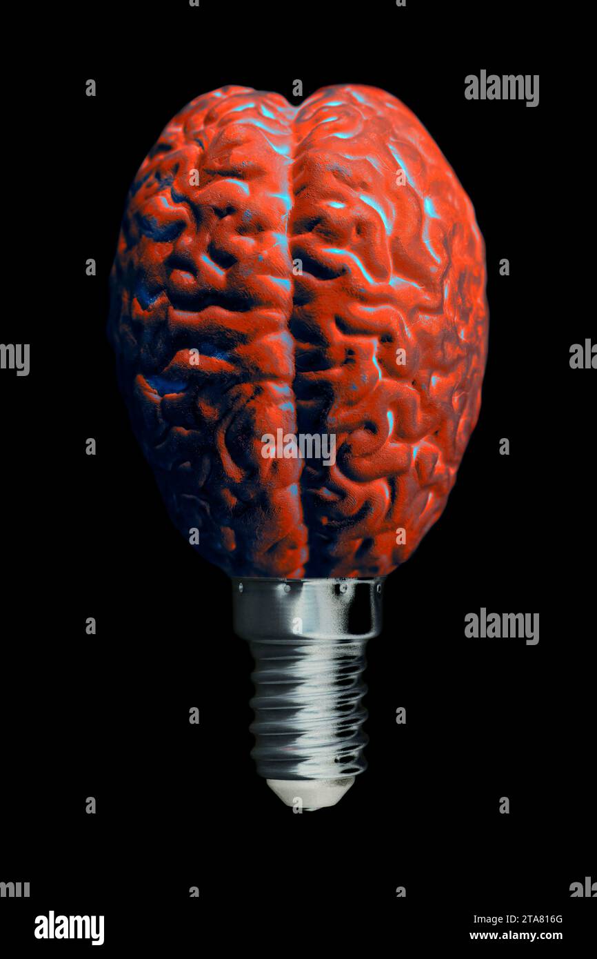 Human brain in form of light bulb. Stock Photo