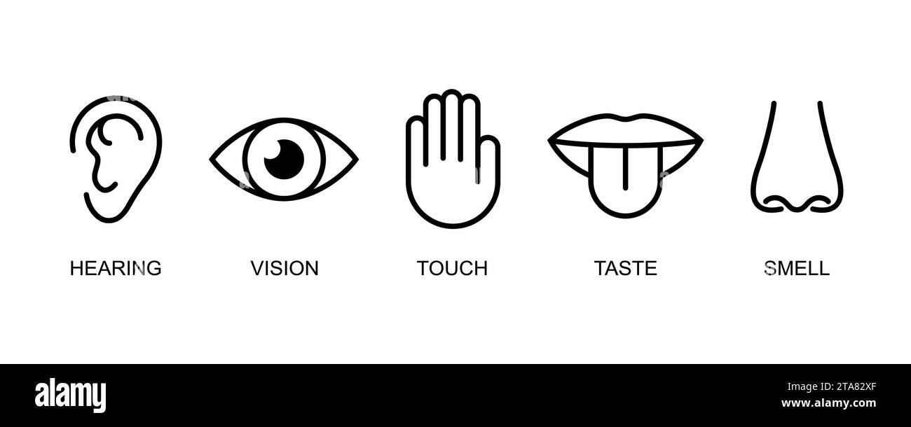 A set of icons of the five human senses hearing, sight, touch, taste, smell. Simple line icons ear, eye, hand, mouth with tongue and nose. Vector illu Stock Vector