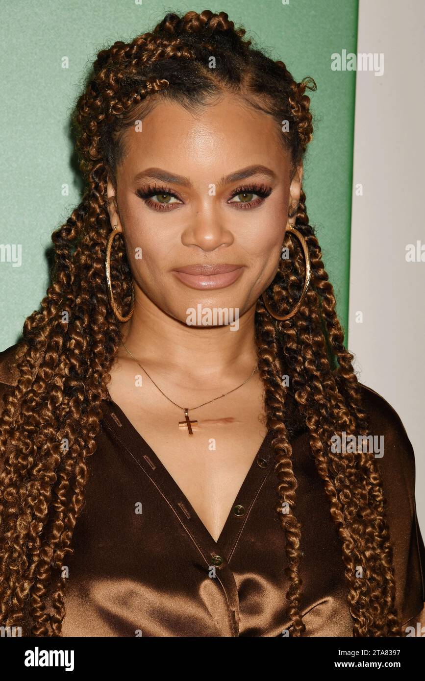 LOS ANGELES, CALIFORNIA - NOVEMBER 28: Andra Day attends the world