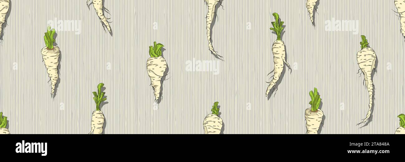 Hand drawn Parsnip seamless pattern, vector illustration Stock Vector ...