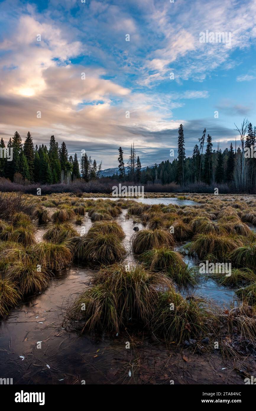 Ponderosa park hi res stock photography and images Alamy Ponderosa park hi res stock photography and images Alamy