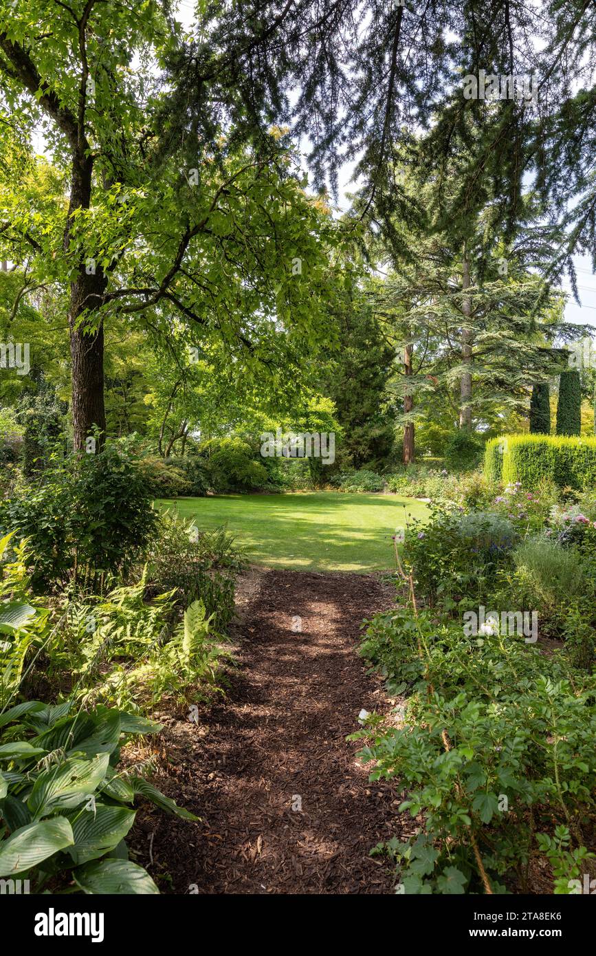 Park with meadow and path between trees in summer Stock Photo - Alamy