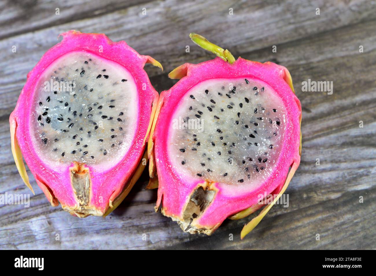 Dragon Fruit Pitaya Pitahaya Fruit Of The Genus Selenicereus Dragon Fruit Pitaya Pitahaya Fruit Of The Genus Selenicereus Formerly Hylocereus Both In The Family Cactaceae Leather Like Skin And Prominent S 2TA8F3E