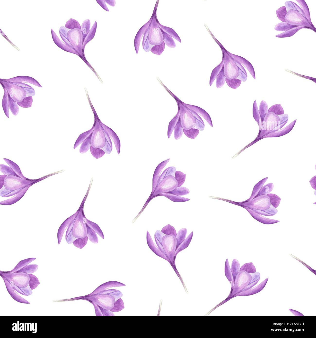 Ornate of spring crocuses. Saffron flowers. Wildflowers. Seamless pattern. Watercolor illustration for the design of textile, wrapping paper Stock Photo