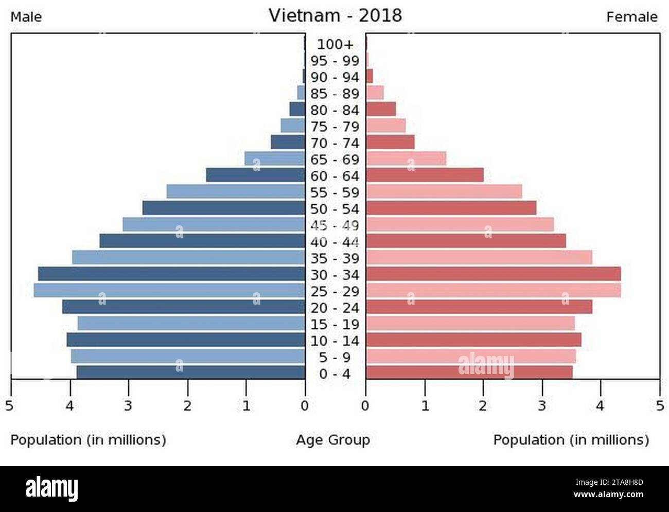 Vietnam population pyramid (2018 Stock Photo Alamy