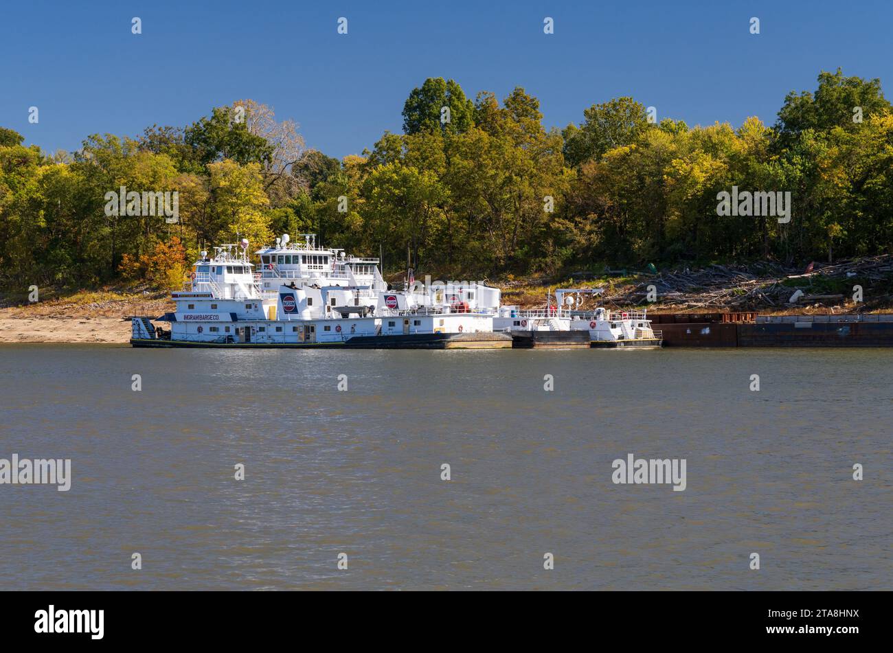 Cairo, IL 22 October 2023 Three large tugboats or pusher boats