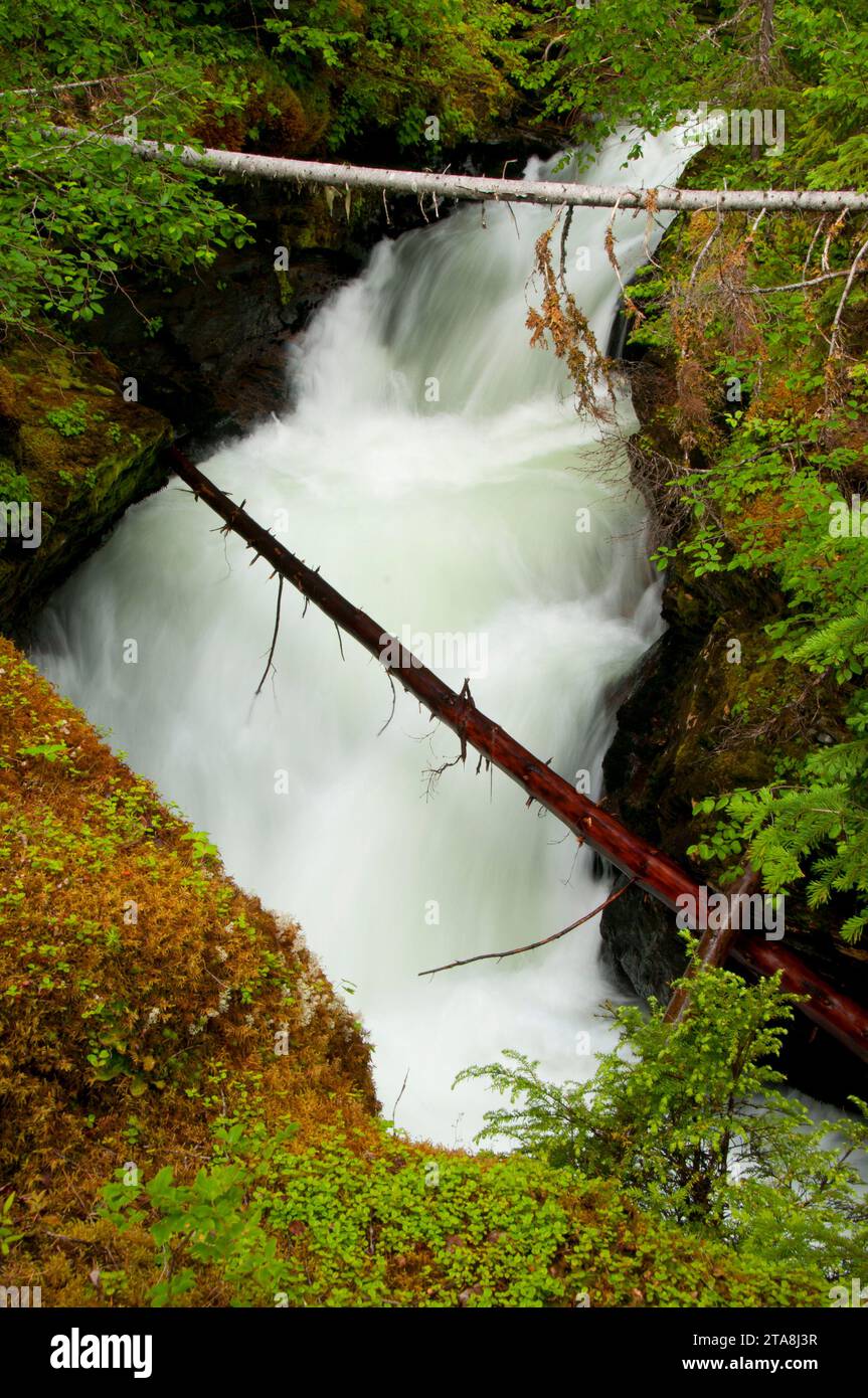 Falls Creek above Sticta Falls, Wells Gray Provincial Park, British Columbia, Canada Stock Photo
