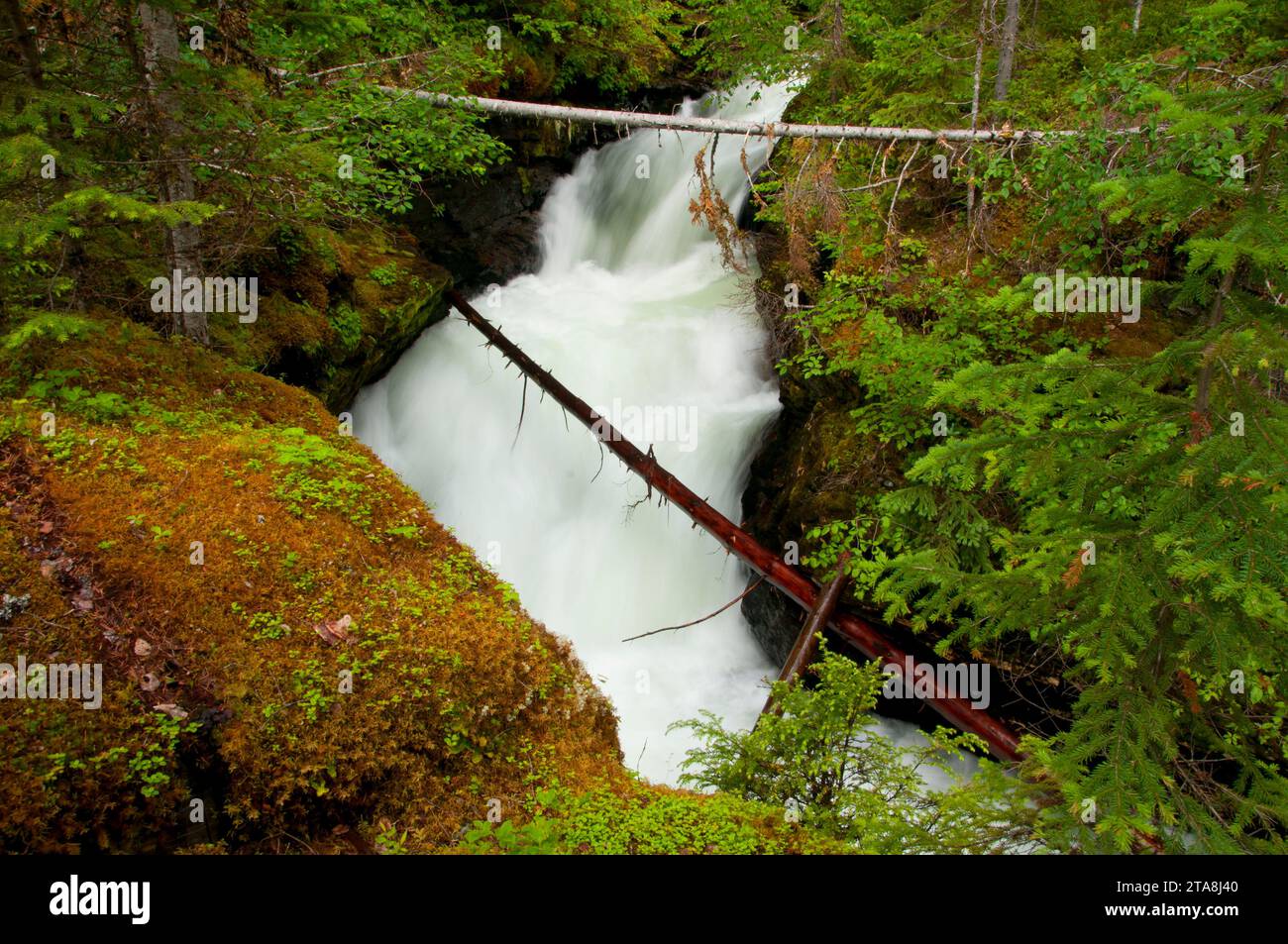 Falls Creek above Sticta Falls, Wells Gray Provincial Park, British Columbia, Canada Stock Photo