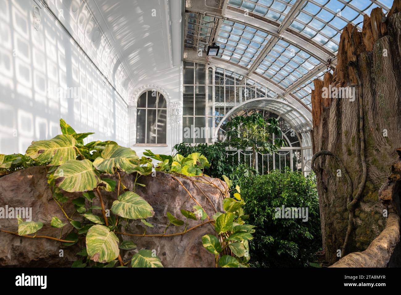 Vienna, AUstria 29 September 2023 Inside Butterfly House in Hofburg is