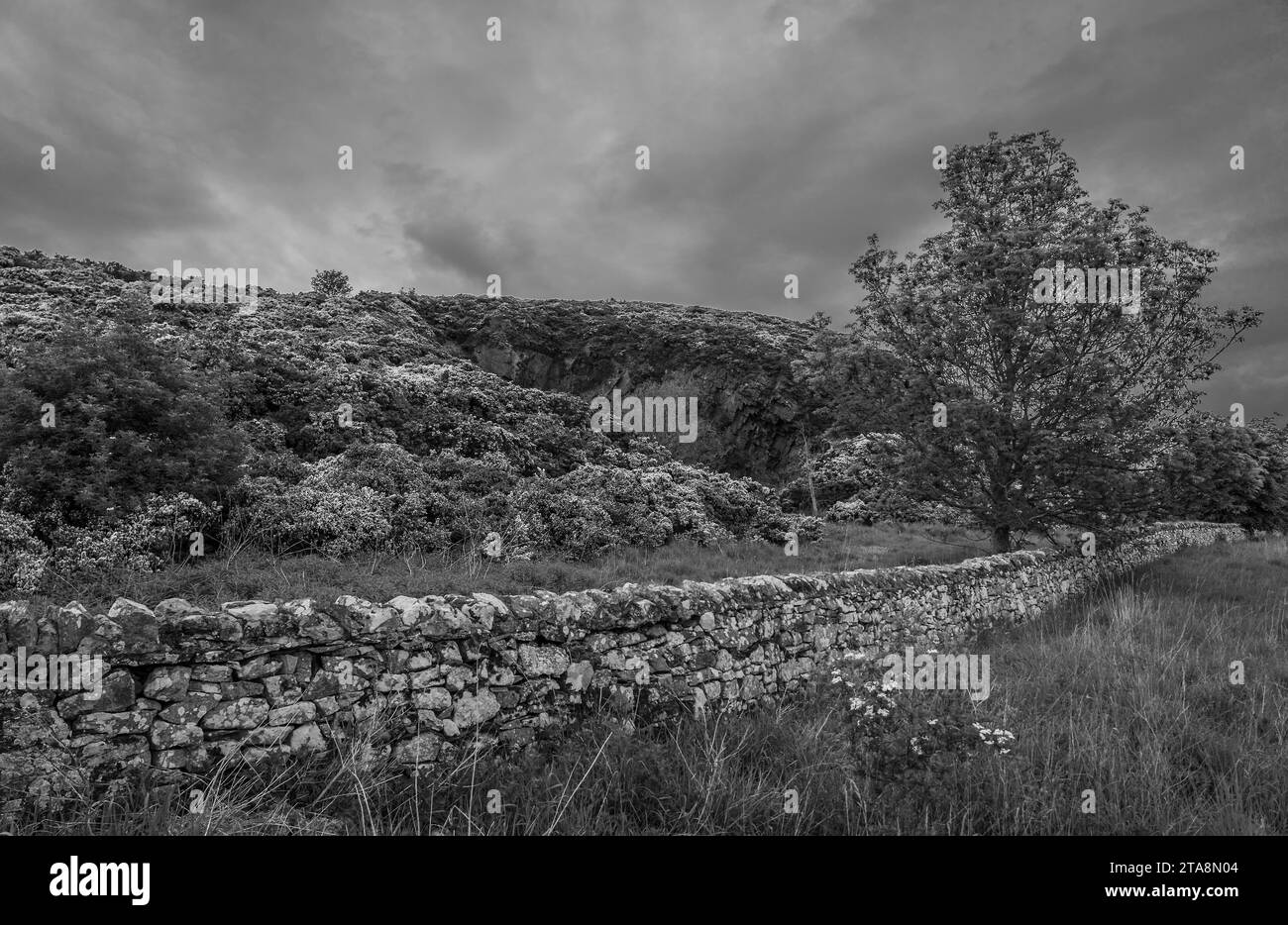 Scotts viewpoint Black and White Stock Photos & Images - Alamy