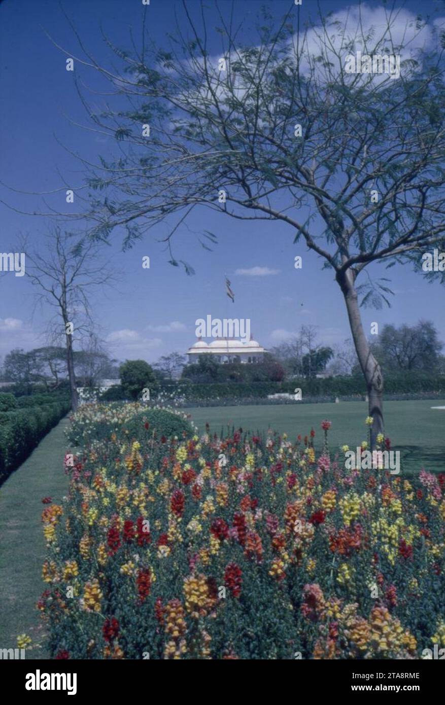 View of Garden at Rashtrapati Bhavan, Official Residence of President of India Dr. Rajendra Prasad (4). Stock Photo