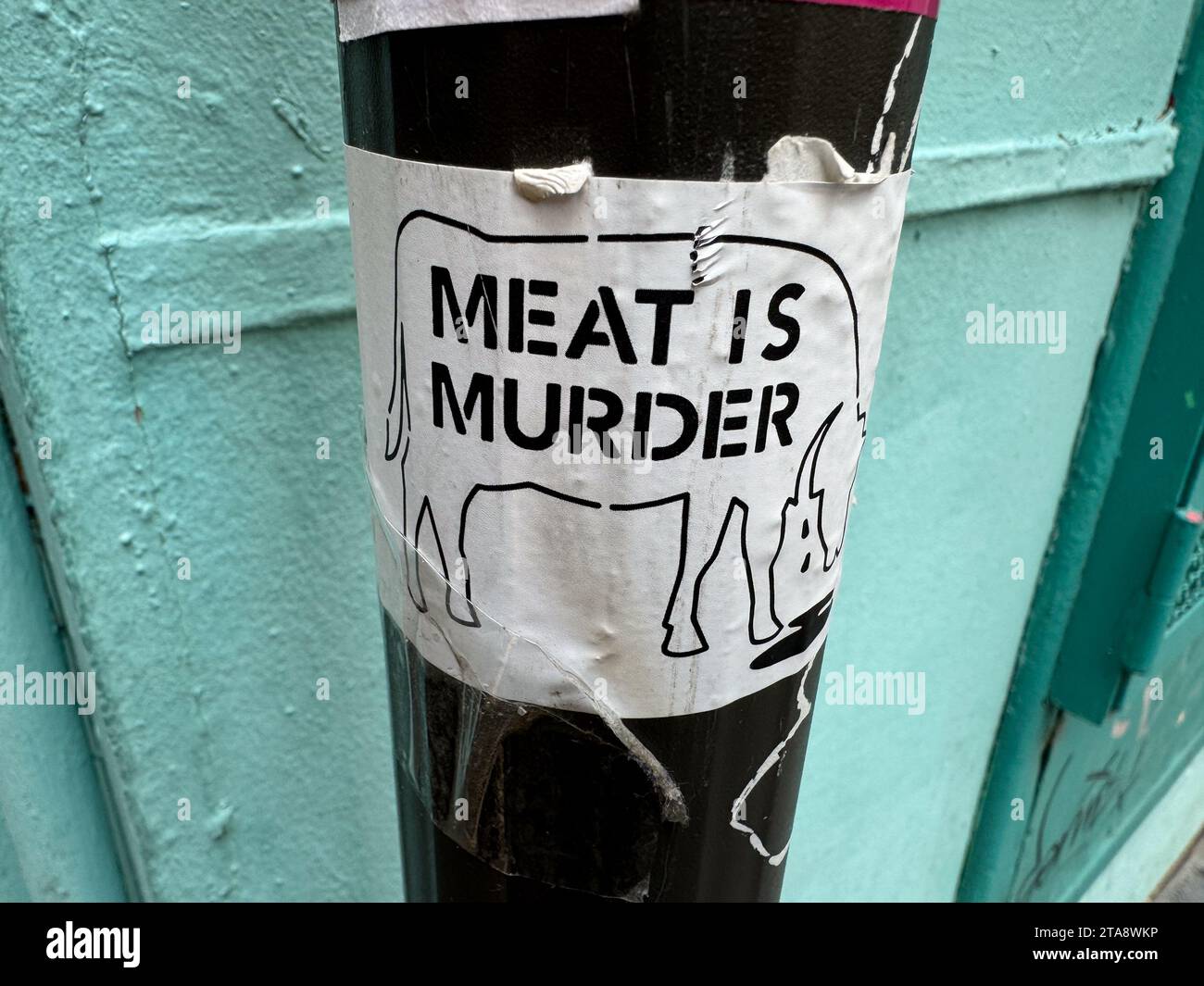 Meat is murder sticker on street sign Stock Photo