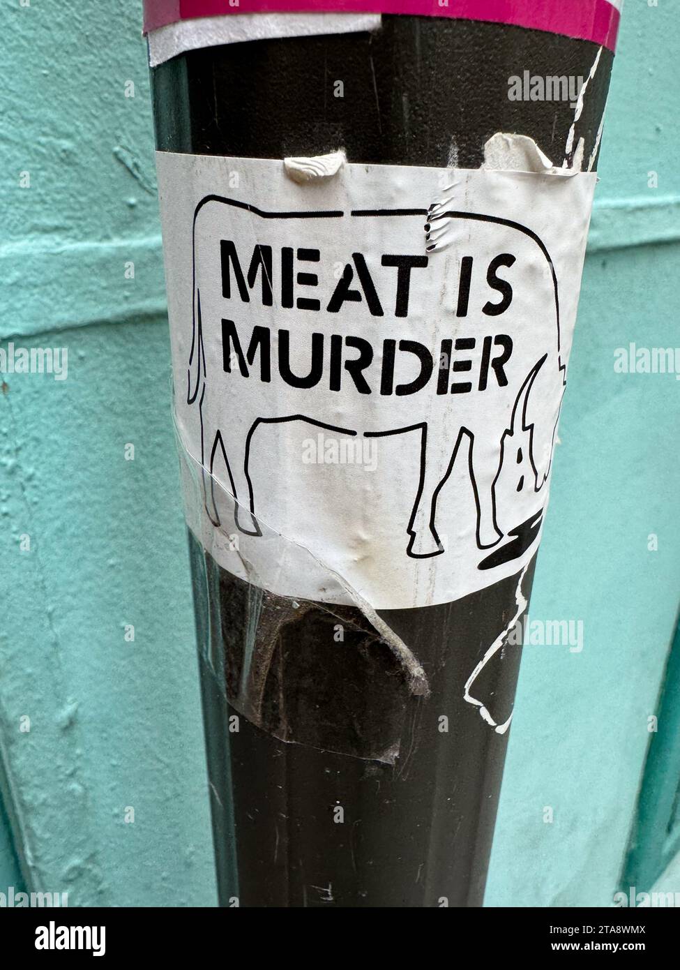 Meat is murder sticker on street sign Stock Photo