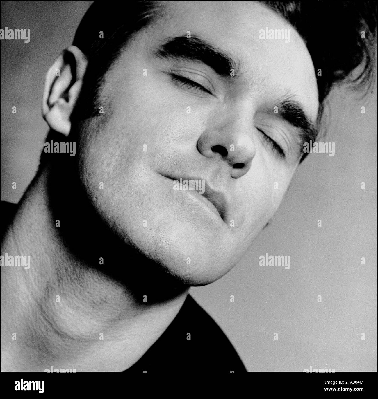 Dead penguin Black and White Stock Photos & Images - Alamy