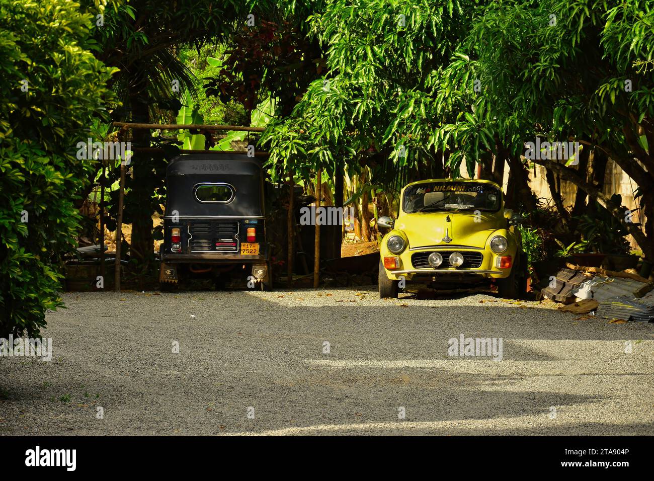 Nilmini und Tuk -Tuk Stock Photo