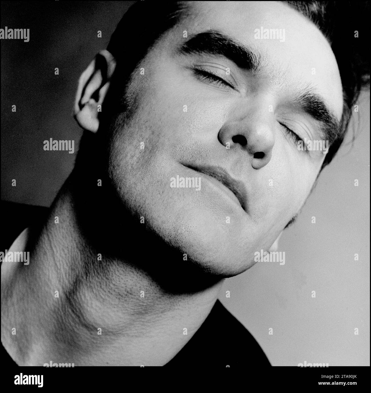 Dead penguin Black and White Stock Photos & Images - Alamy