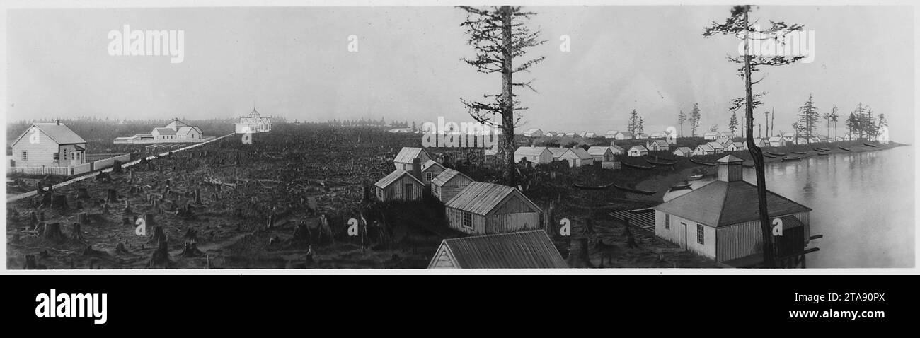 View of the Metlakahtla, Alaska, mission settlement on Annette Island showing progress of clearing the forest. On... Stock Photo