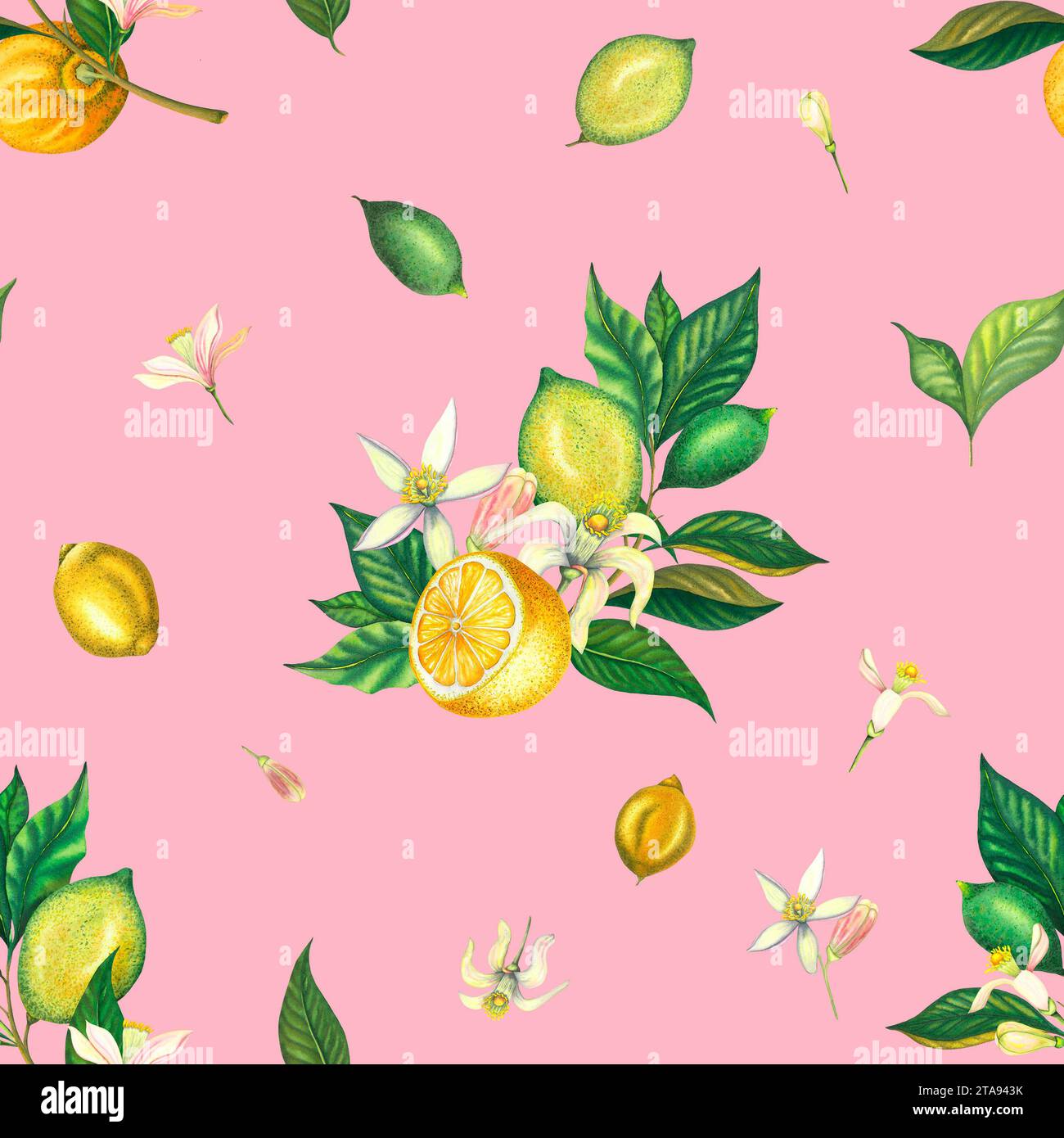 Watercolor seamless pattern with blooming lemons and lime branch with ...