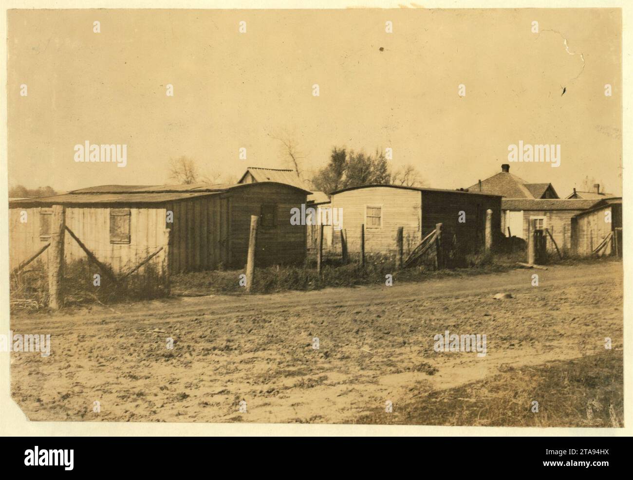 Views of 'The Jungle,' in Ft. Collins, the section in which the beet workers live when not away working the beets. In Greeley, this segregated section is called 'The Pansy Bed' (from the Stock Photo