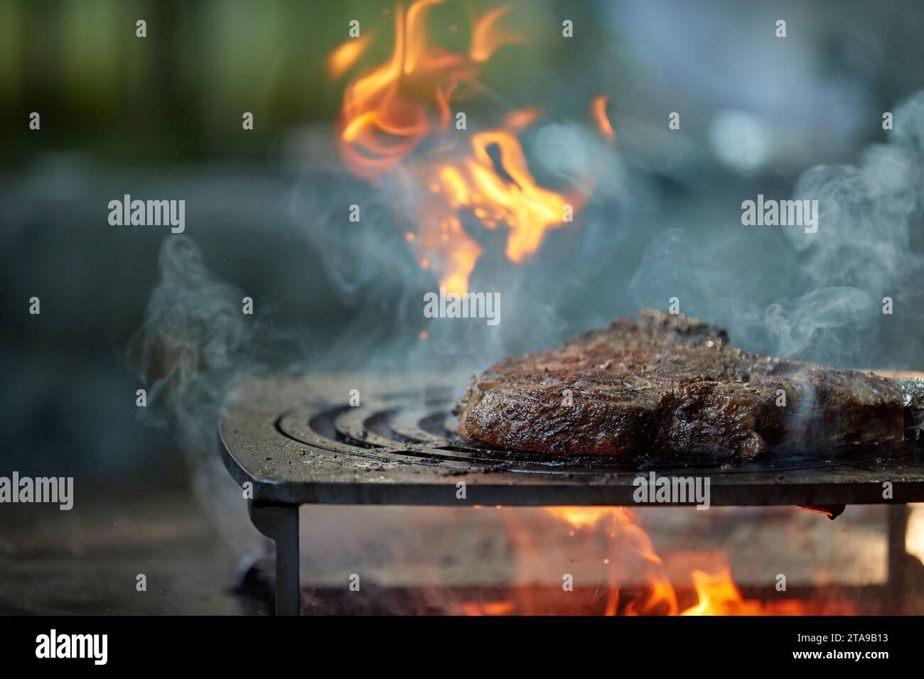 Close up of steaks preparing at garden festival, flames, shallow depth of field, very colorful blurred background, evening at garden festival. Stock Photo